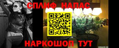 ГАЛЛЮЦИНОГЕННЫЕ ГРИБЫ Канаш