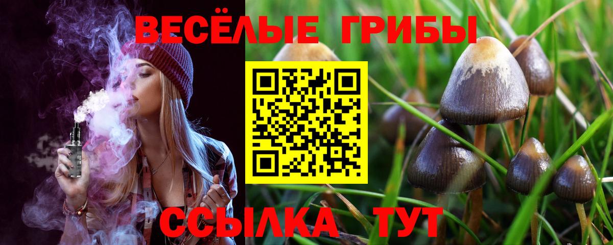 Псилоцибиновые грибы прущие грибы Барабинск